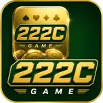 222C Game