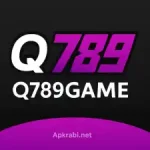 Q789 Game