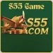 S55 Game